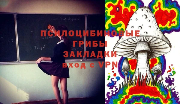 прущие грибы Киреевск