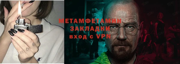 прущие грибы Киреевск